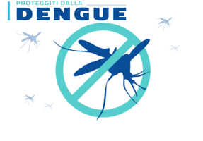 Virus della Dengue